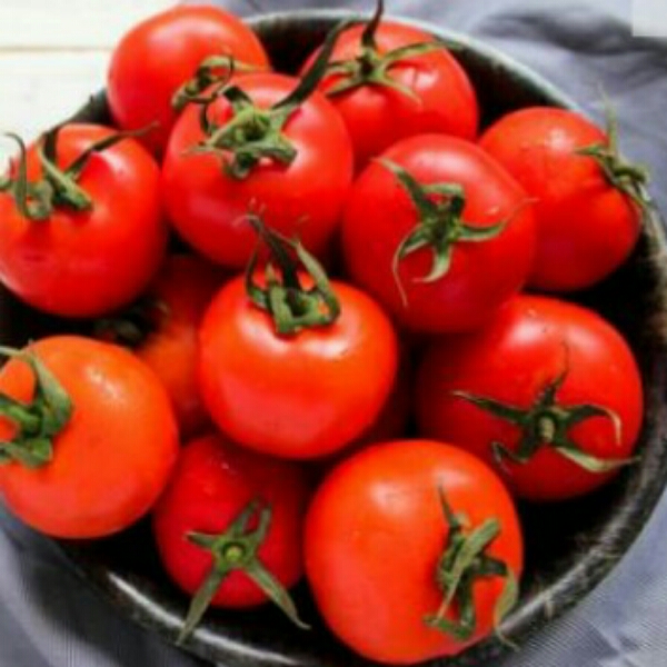 فروش گوجه فرنگی