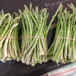 فروش مارچوبه تازه