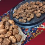 فروش دنبلان کوهی