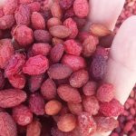 زغال اخته خشک