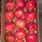 انار صادراتی کهمره سرخی