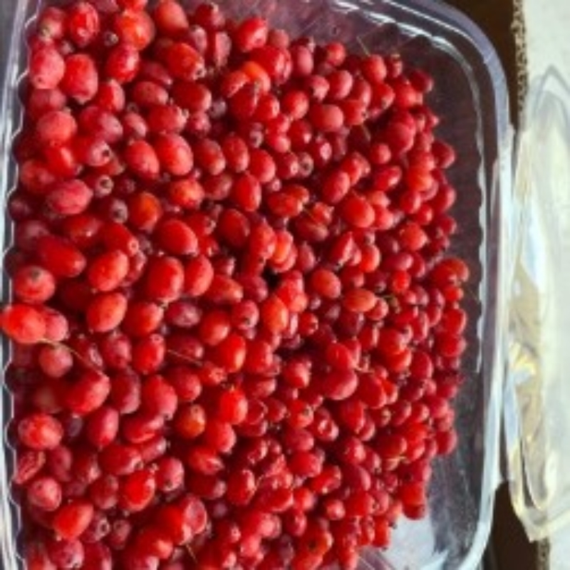 زرشک تازه