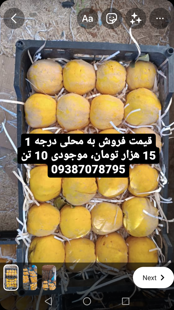 فروش به محلی