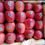 فروش سیب سفید وقرمز