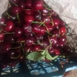 بارفروشی وحق العمل کاری ولی زاده