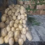 بارفروشی وحق العمل کاری ولی زاده