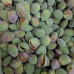 بادام با پوست تر بادام کاغذی
