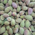 بادام با پوست تر بادام کاغذی