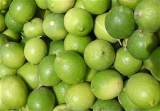 فروش لیمو درجه 1