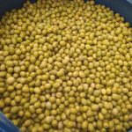 زیتون کنسروی شکسته پرورده روغن زیتون