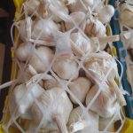 سیر همدان