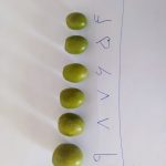زیتون کنسروی شکسته پرورده روغن زیتون