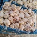 سیر همدان