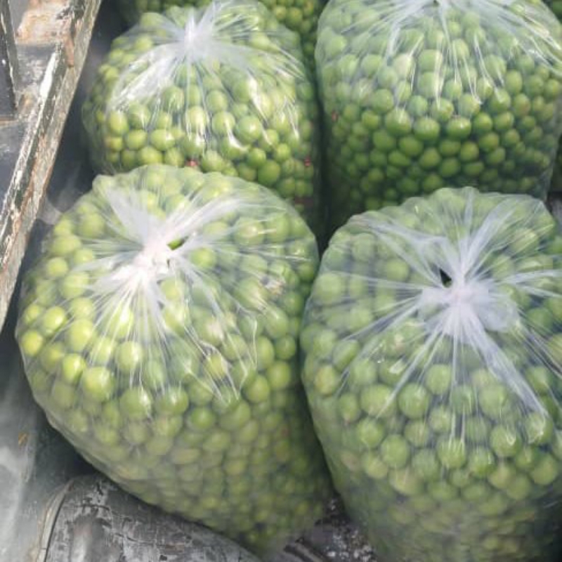 گوجه سبز