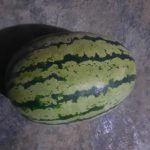 هندوانه دراگون .خربزه جانا وگوجه