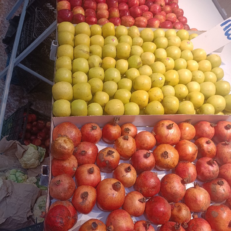 انواع میوه