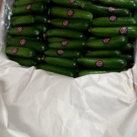 خیار اصلاحی سناتور و خیار خطی