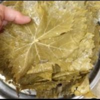برگ مو (,انگور)