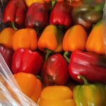دلمه رنگی اصفهان