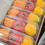 دلمه رنگی اصفهان