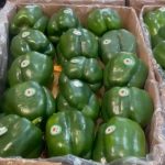 دلمه رنگی اصفهان