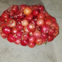 فروش انار برای آب میوه گیری