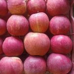 فروش سیب سرخ درجه ۱